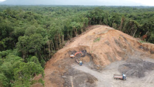 Deforestation in the name of 'development'!